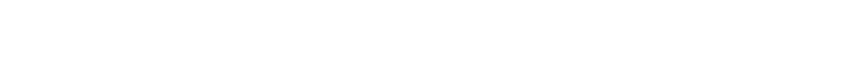 DVS LDN